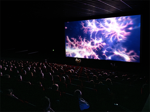 News Release 29/10/2025