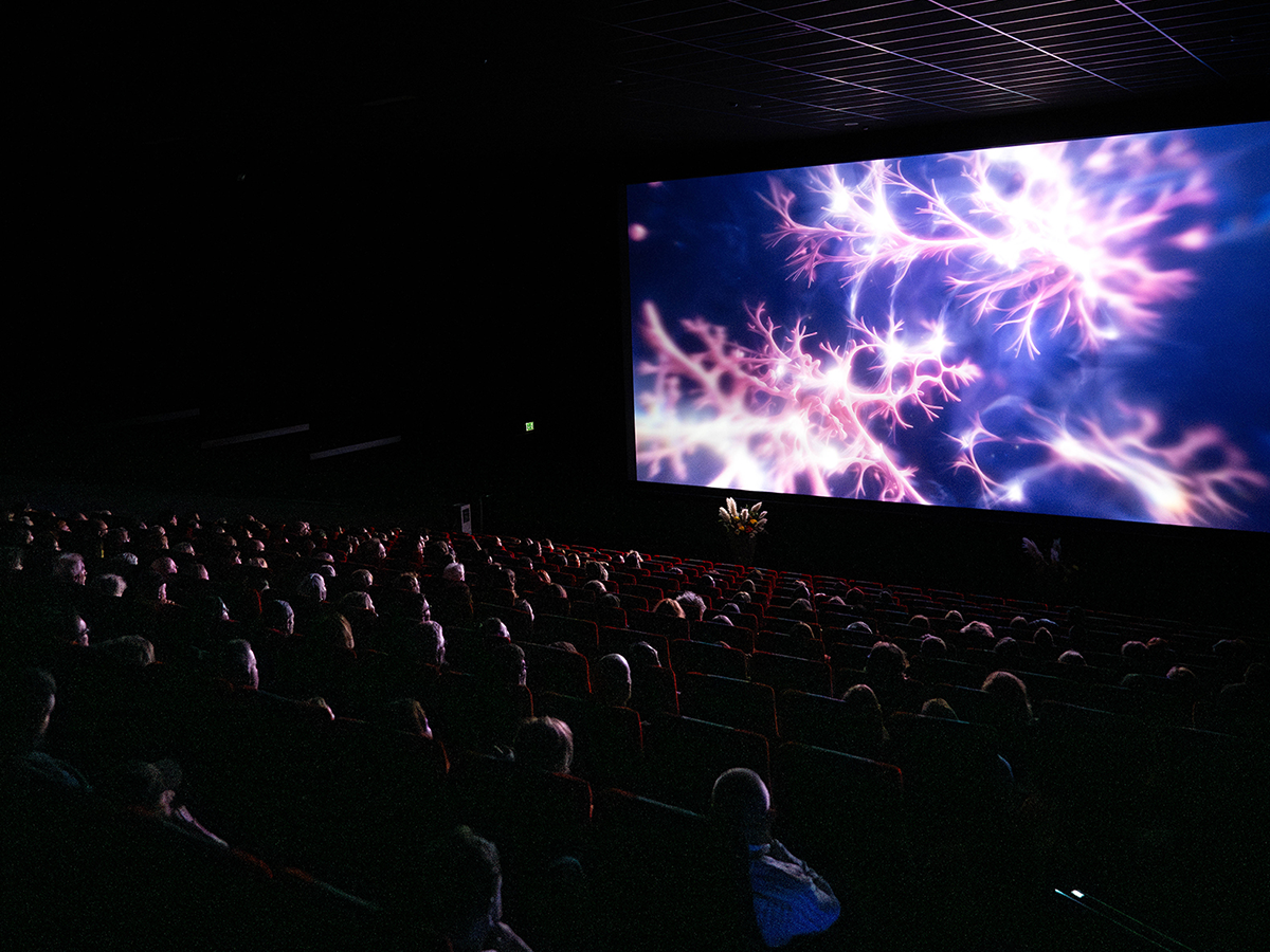 Medienversand 29.10.25