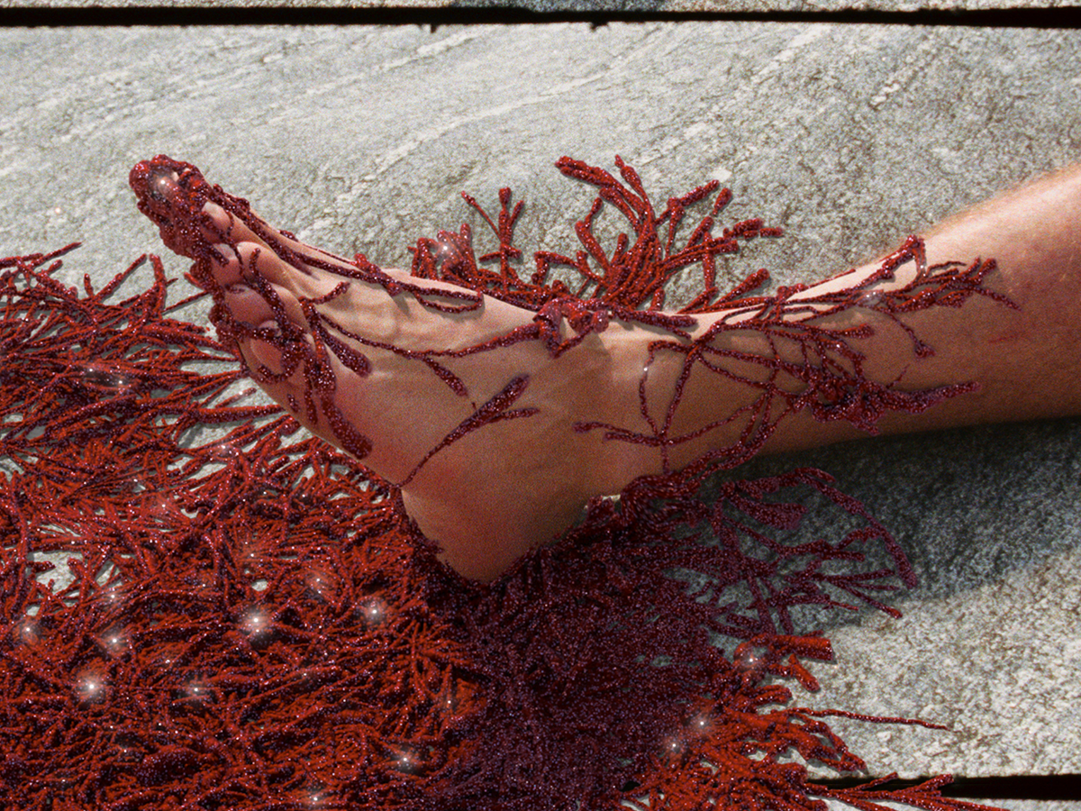 News Release 23/9/2025